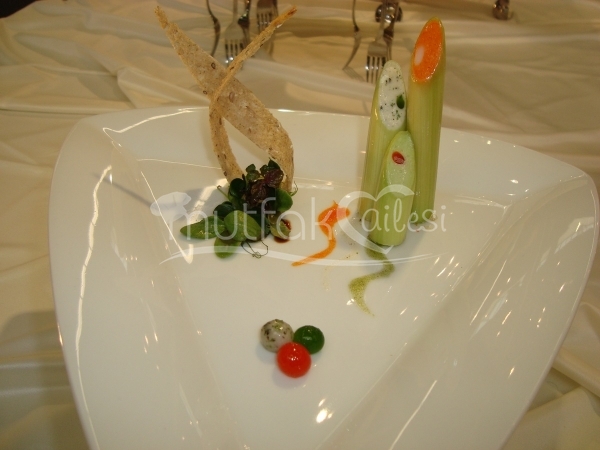 Soğuk Başlangıç Sunumları