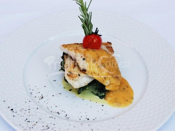 Balık Sunumları