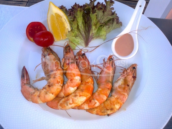 Balık Sunumları