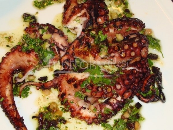 Soğuk Başlangıç Sunumları